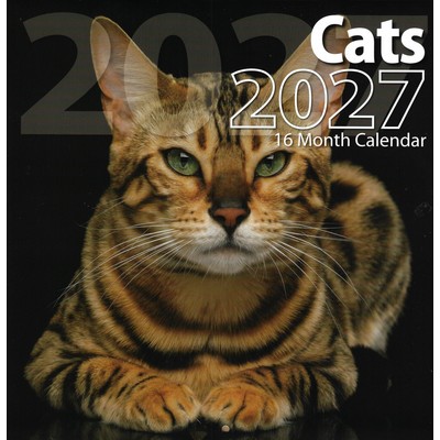 Cats 2027 Wall Calendar