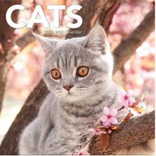 Cats 2026 Calendar