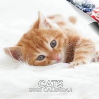 Cats 2026 Wall Calendar
