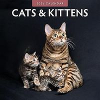 Cats 2026 Wall Calendar