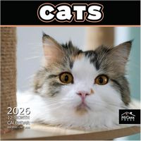 Cats 2026 Wall Calendar