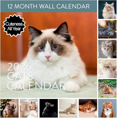 Cats 2026 Wall Calendar