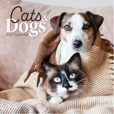 Cats and Dogs 2027 Wall Calendar