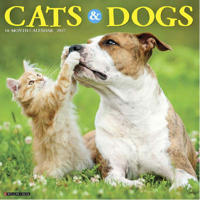Cats and Dogs 2027 Wall Calendar
