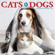 Cats and Dogs 2026 Calendar