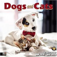 Dogs and Cats 2026 Calendar