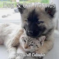 Dogs and Cats 2026 Calendar