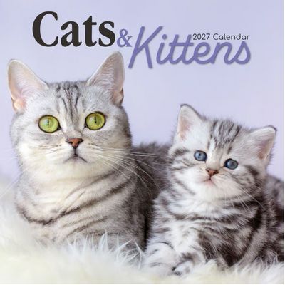 Cats and Kittens 2027 Wall Calendar