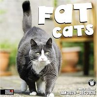 Fat Cats 2026 Wall Calendar