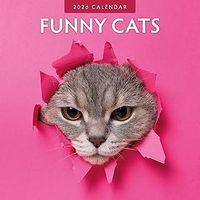 Funny Cats 2026 Wall Calendar