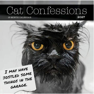 Cat Confessions 2027 Wall Calendar