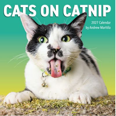 Cats on Catnip 2027 Wall Calendar
