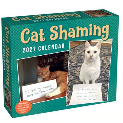 Cat Shaming 2027 Desk Calendar