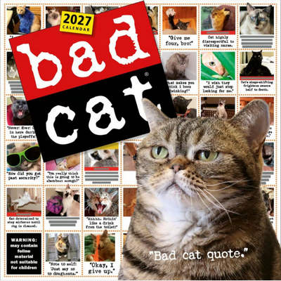 Bad Cat 2027 Wall Calendar