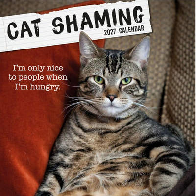 Cat Shaming 2027 Wall Calendar