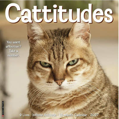 Cattitudes 2027 Wall Calendar
