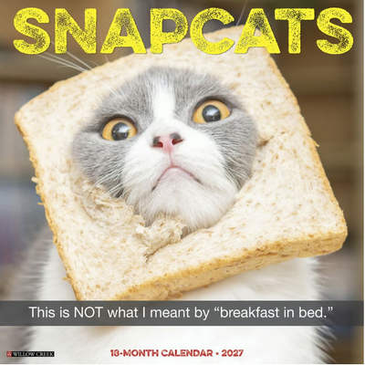 Snapcats 2027 Wall Calendar