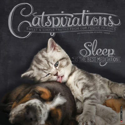 Catspirations 2027 Wall Calendar