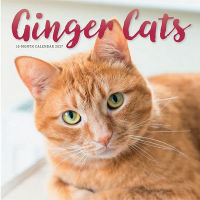 Ginger Cats 2027 Calendar