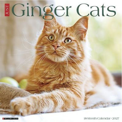 Just Ginger Cats 2027 Calendar