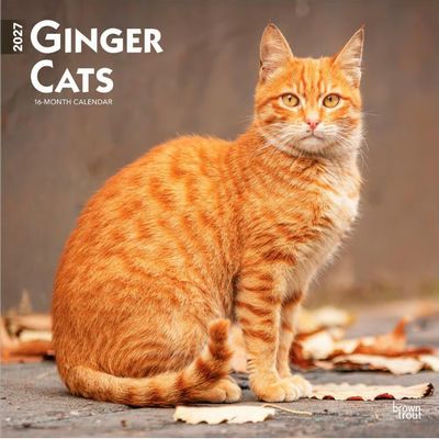 Ginger Cats 2027 Calendar