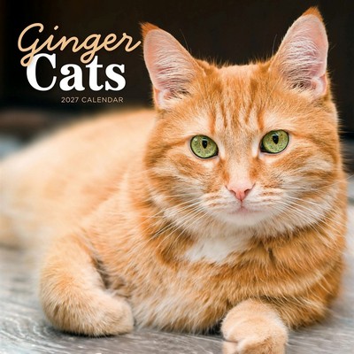 Ginger Cats 2027 Calendar