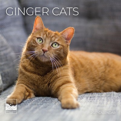 Ginger Cats 2027 Calendar