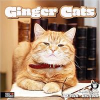Ginger Cats 2026 Wall Calendar