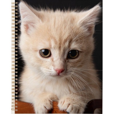 Ginger Cats 2027 Planner