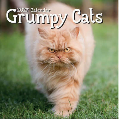 Grumpy Cats 2027 Wall Calendar