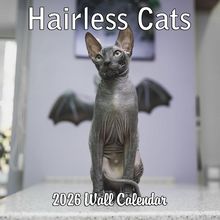 Hairless Cats 2026 Calendar