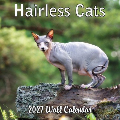 Hairless Cats 2027 Wall Calendar