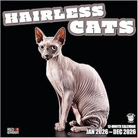 Hairless Cats 2026 Calendar