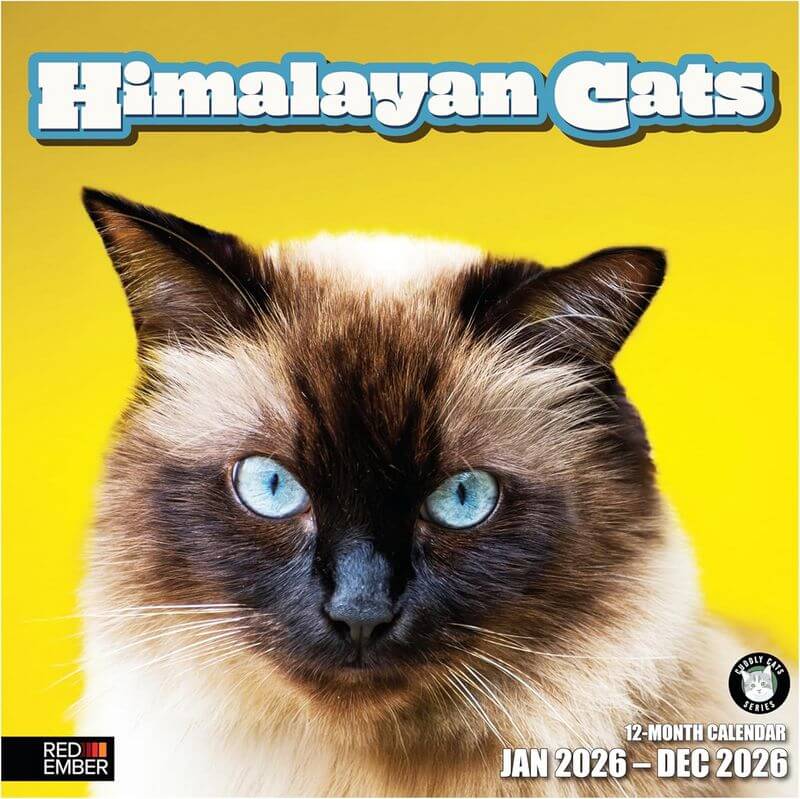 Himalayan Cats 2026 Calendar