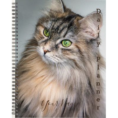 Himalayan Cat Planner 2027 Planner