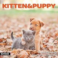 Kitten and Puppy 2026 Wall Calendar