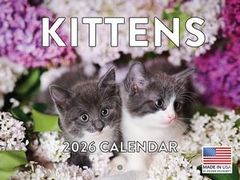 Kittens 2026 Calendar
