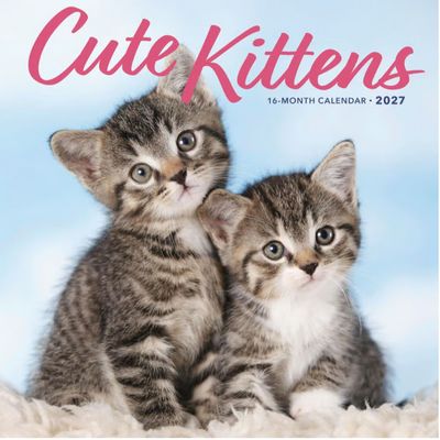 2027 Cute Kittens Wall Calendar