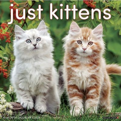 Just Kittens 2027 Wall Calendar
