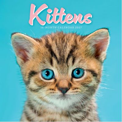 Kittens 2027 Mini Wall Calendar