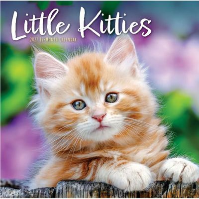 Little Kitties 2027 Wall Calendar