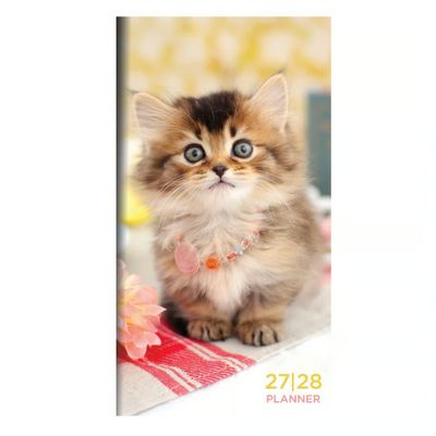 Kitten 2027 2 Year Monthly Pocket Planner