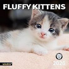 Fluffy Kittens 2026 Calendar