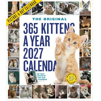 365 Kittens-A-Year Picture-A-Day 2027 Wall Calendar