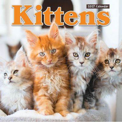 Kittens 2027 Wall Calendar