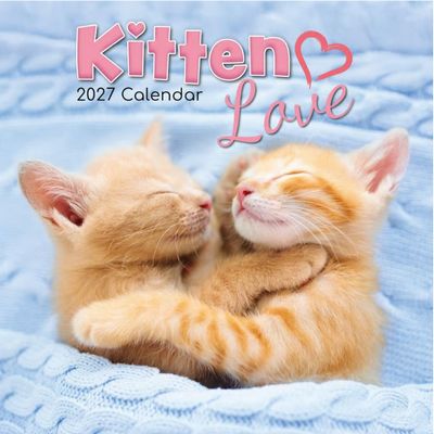 Kitten Love 2027 Wall Calendar