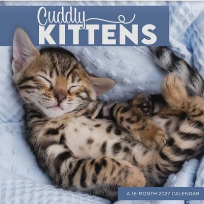 Cuddly Kittens 2027 Wall Calendar