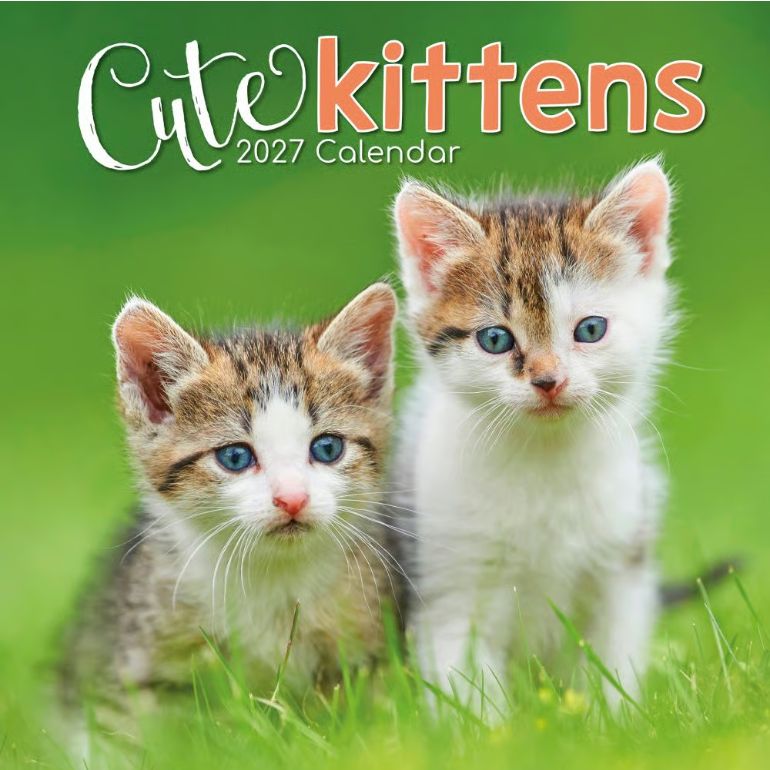 Cute Kittens 2027 Wall Calendar