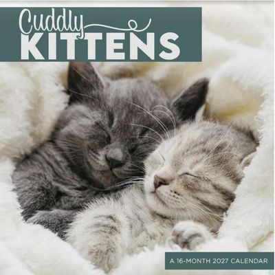 Cuddly Kittens 2027 Mini Wall Calendar