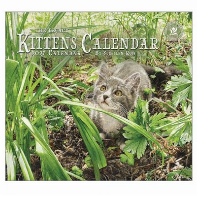 Kittens 2027 Wall Calendar by Sueellen Ross